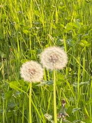 ラブ・ジェネレーション