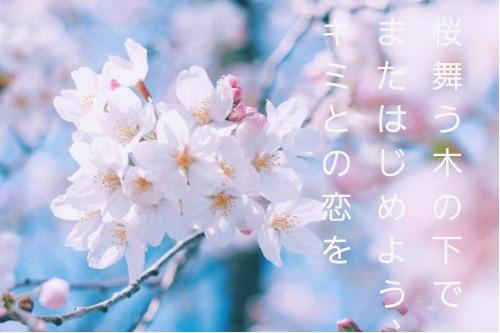 桜舞う木の下でまたはじめよう、キミとの恋を【連載2027.4~開始】