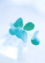 独占してよ、俺のこと