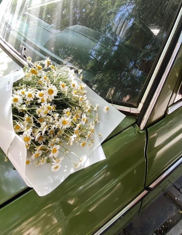 私を拾ってくれますか?