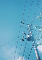 船瀬さんの彼女、村井さん。