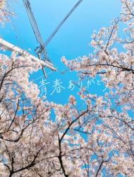 世界で1番大切な君へ