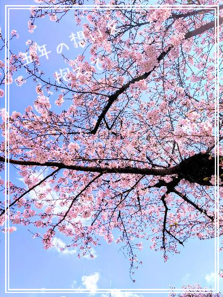 五年の想いを抱えて