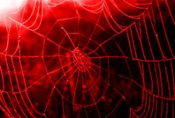 赤い蜘蛛の糸は信頼の証