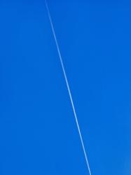 蜘蛛の糸のつづき