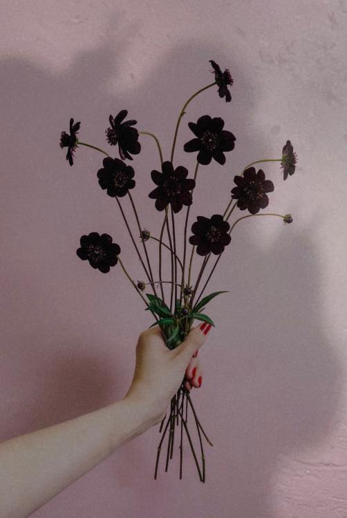 失恋した女の子のお話