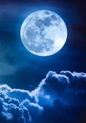 月下櫻涙―離れない夜―