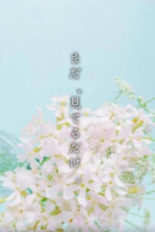 まだ、見てるだけ。