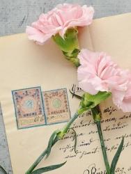 すみっこ屋敷の魔法使い