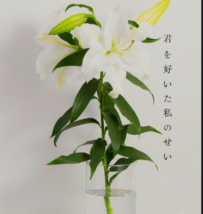 君を好いた私のせい