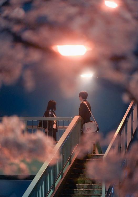 君と過ごす1年間。