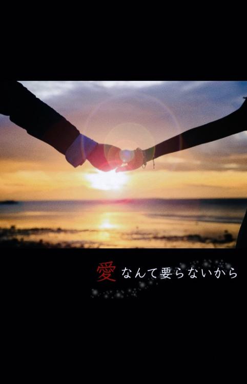 愛なんて要らないから