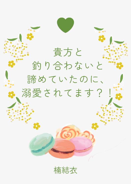 貴方と釣り合わないと諦めていたのに、溺愛されてます?!