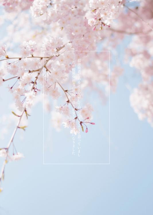 最強術者であることを隠して自由に生きようと思っていましたが現最強術者の花嫁になり溺愛されるようになりました