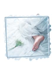 届かない想いの先で、あの日の君に伝えたい。