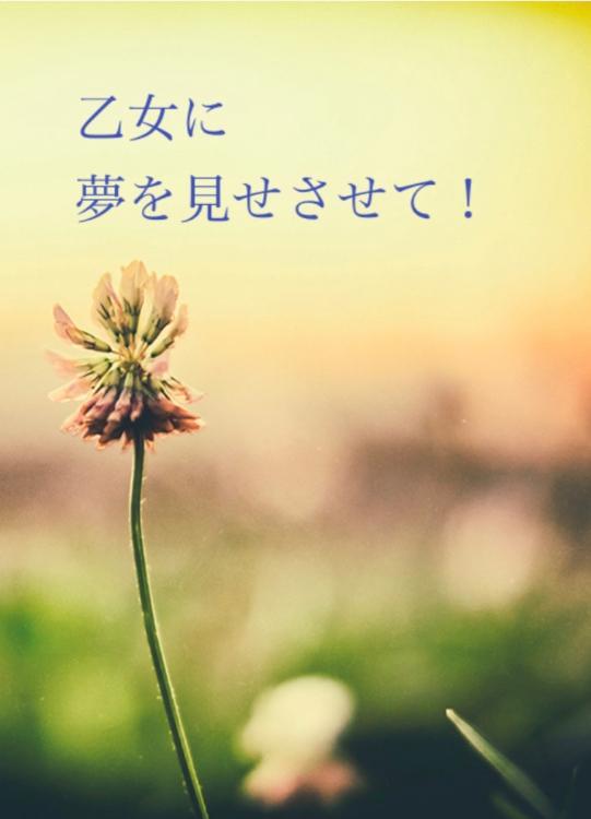 乙女に夢を見せさせて！