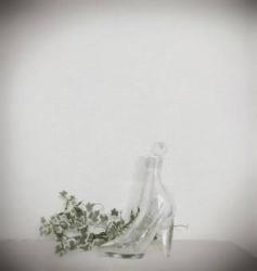 不細工の落とした靴