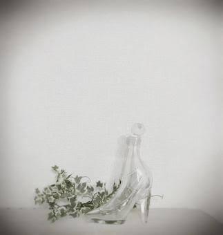 不細工の落とした靴