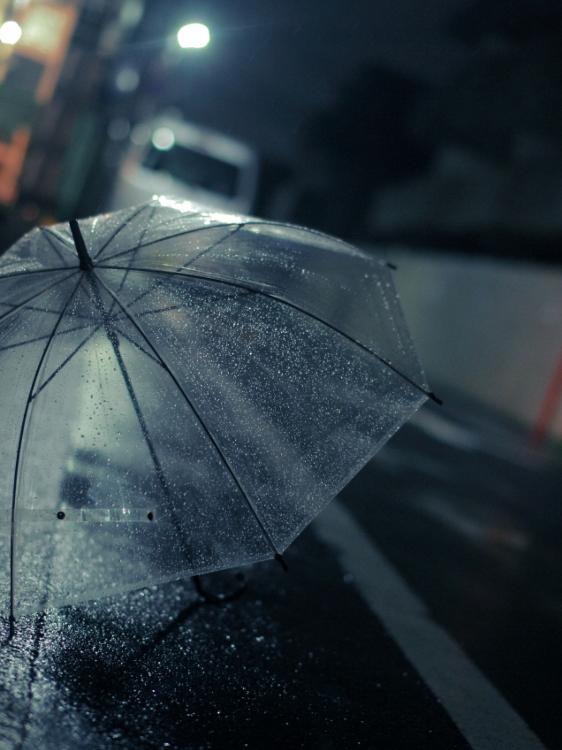 雨粒が落ちる日、恋にも落ちる