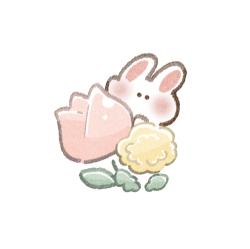 うさぎの溺愛。