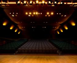 彼の演技は透けてる