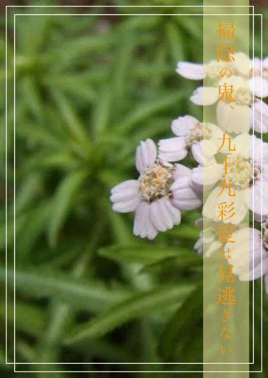 掃除の鬼、九十九彩夏は見逃さない。