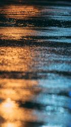 俺の／僕の、嫌いなヤツ。