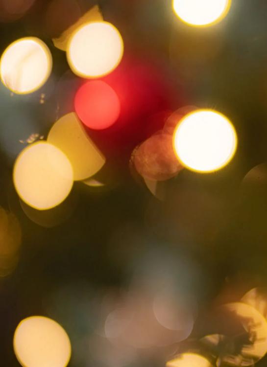 やけっぱちのクリスマス