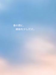 春の霖に、綿飴を少しだけ。