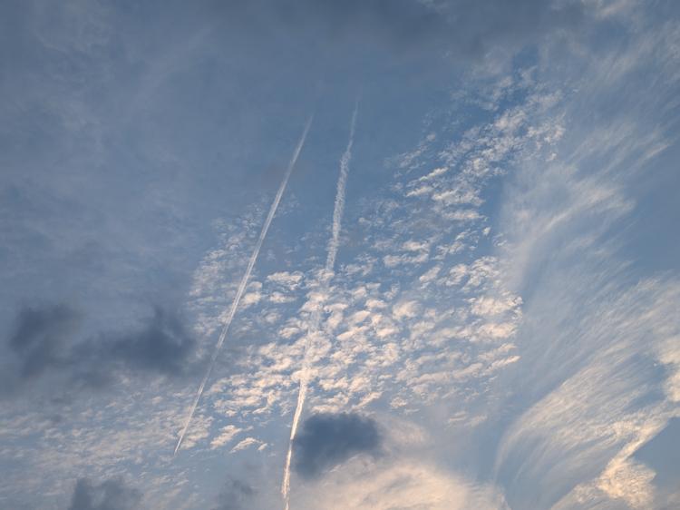 苦しみの裏には幸せが…番外編