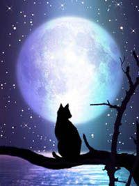 四季と月(最終更新日2026.1.6)