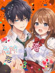 危険すぎる恋に、落ちてしまいました。３