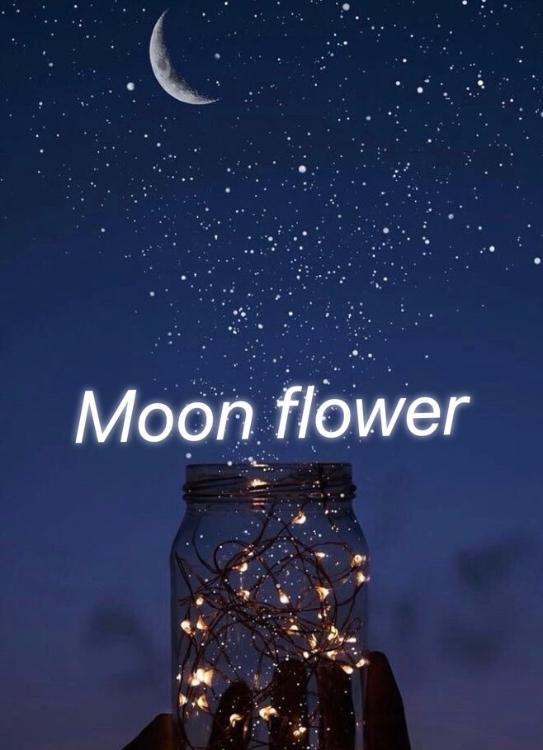 Moon flower 〜月の光〜