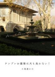 テンプレお嬢様は犬もくわない!〜強がりお嬢様×泣き虫幼馴染〜