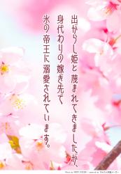 出がらし姫と蔑まれてきましたが、身代わりの嫁ぎ先で氷の帝王に溺愛されています。