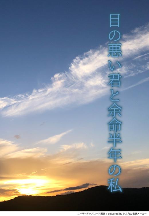 目の悪い君と余命半年の私