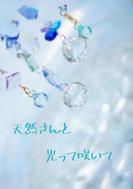 天然さんと光って咲いて