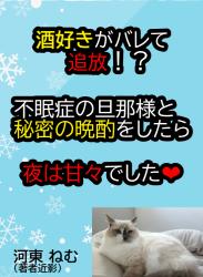 酒好きがバレて追放された元聖女ですが、不眠症の辺境伯様と【秘密の晩酌】はじめました 〜昼は冷徹、夜は甘々。ほろ酔い旦那様の執着愛が止まりません〜