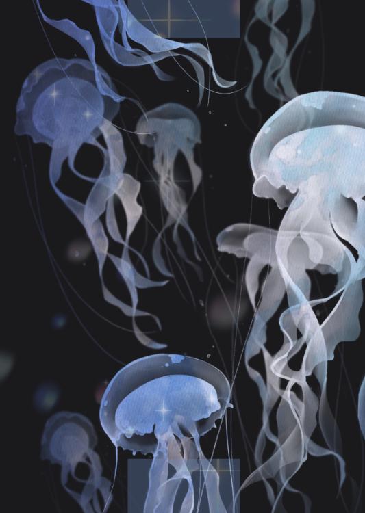 私だけの素敵なお城