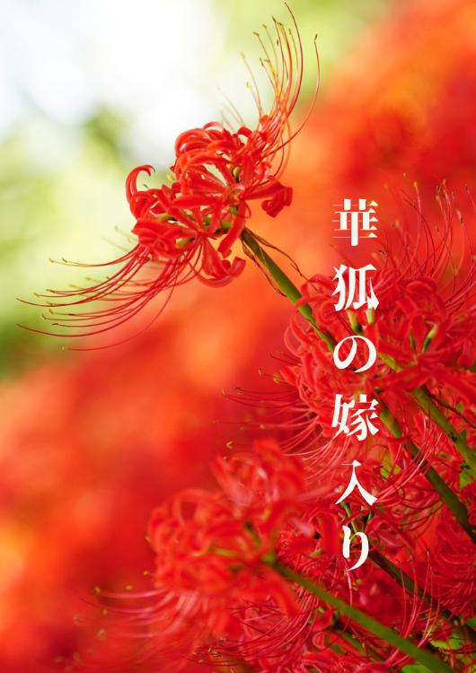 華狐の嫁入り　～離婚を申し出た途端に旦那様が現れました～