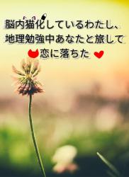 脳内猫化しているわたし、地理勉強中あなたと旅して恋に落ちた
