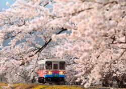 季節は巡る、恋も巡る、四季折々の恋の短編集第二話