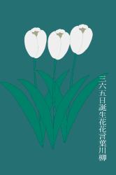 365日誕生花花言葉川柳3月分（恋愛多め）