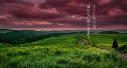 絶対に好きになってはいけない人