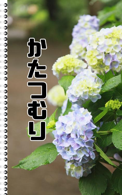 かたつむり