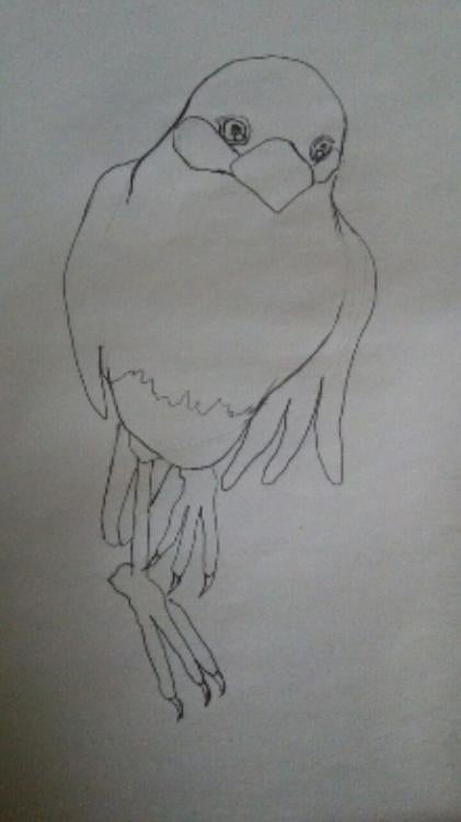 改稿【桃・中編・画】文鳥は要りませんか？