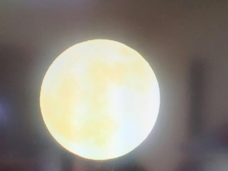 【青(茶)・中編・画】羽生へのエール