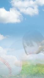 夏の空を仰ぐ花 ~太陽が見てるからside story