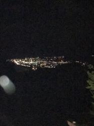 飼い犬に手を噛まれました