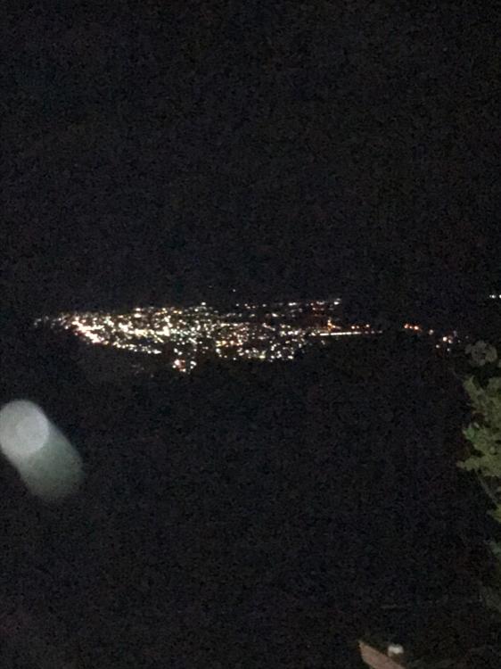 飼い犬に手を噛まれました